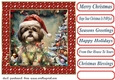 Framed pup in a tangle Christmas card front 10
