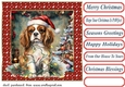 Framed pup in a tangle Christmas card front 12