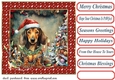 Framed pup in a tangle Christmas card front 13