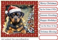 Framed pup in a tangle Christmas card front 14