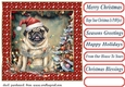 Framed pup in a tangle Christmas card front 15