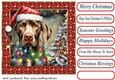 Framed pup in a tangle Christmas card front 16