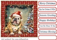 Framed pup in a tangle Christmas card front 17