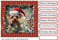 Framed pup in a tangle Christmas card front 18