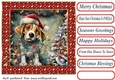 Framed pup in a tangle Christmas card front 20