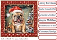 Framed pup in a tangle Christmas card front 22