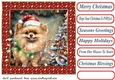 Framed pup in a tangle Christmas card front 23
