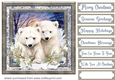 Framed winter animals card front 2