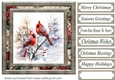 Winter cardinal card front 3