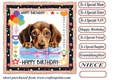 Pup Happy Birthday card front 17