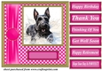 Its all about the splash Scottish terrier card front 4