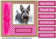 Its all about the splash Scottish terrier card front 9
