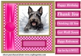 Its all about the splash Scottish terrier card front 10