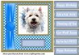 Its all about the splash West Highland terrier card front 1
