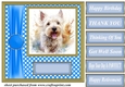 Its all about the splash West Highland terrier card front 3