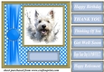 Its all about the splash West Highland terrier card front 4