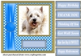 Its all about the splash West Highland terrier card front 6