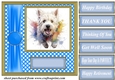 Its all about the splash West Highland terrier card front 8