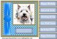 Its all about the splash West Highland terrier card front 9