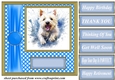 Its all about the splash West Highland terrier card front 11
