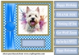 Its all about the splash West Highland terrier card front 12