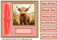 Orange polka dot Highland cow card front 3