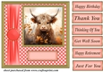 Orange polka dot Highland cow card front 7