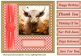 Orange polka dot Highland cow card front 10