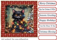 Black cat in a tangle Christmas card front 1