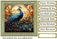 Stained glass peacock card front 4