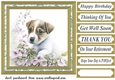 Floral Jack Russel card front 1