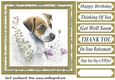 Floral Jack Russel card front 2