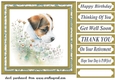 Floral Jack Russel card front 3