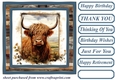 Blue framed Highland cow card front 3