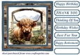 Blue framed Highland cow card front 6