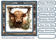 Blue framed Highland cow card front 9