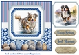 Running in the water dog card front 1