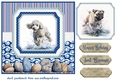 Running in the water dog card front 8