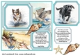 Dog running in water card front 2