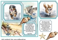 Dog running in water card front 4