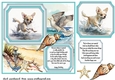 Dog running in water card front 5
