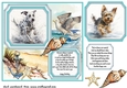 Dog running in water card front 6