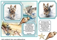 Dog running in water card front 7