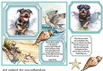 Dog running in water card front 8