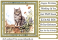 Cat on fence card front 1