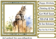 Cat on fence card front 3