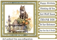 Cat on fence card front 4