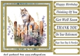 Cat on fence card front 6