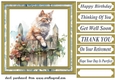 Cat on fence card front 7