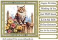 Cat on fence card front 8